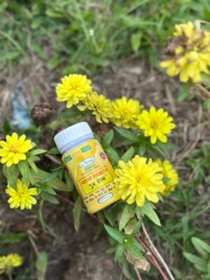 Dr. Biswas Good Health Capsule
